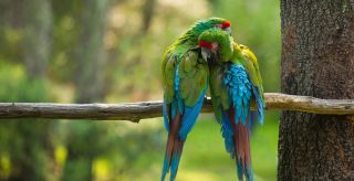 Tropische dierentuin in La Londe-les-Maures.