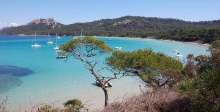 plage notre dame ile porquerolles.jpeg